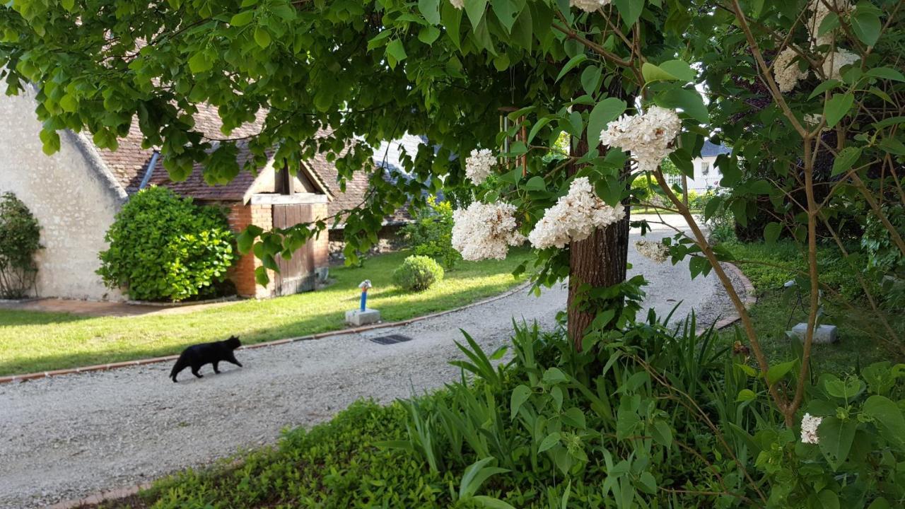 Closerie Des Laudieres Vineuil  Екстер'єр фото